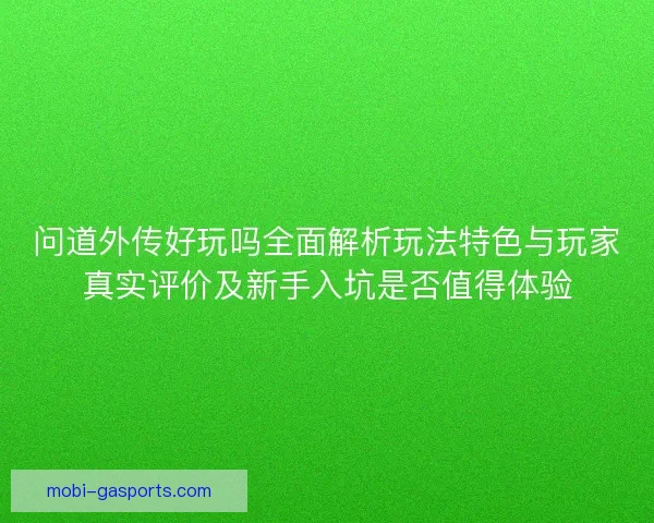 问道外传好玩吗全面解析玩法特色与玩家真实评价及新手入坑是否值得体验